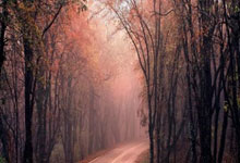 债券投资和股票投资的优缺点:股票可以加杠杆的平台-纪念中国人民抗日战争暨世界反法西斯战争胜利80周年大会